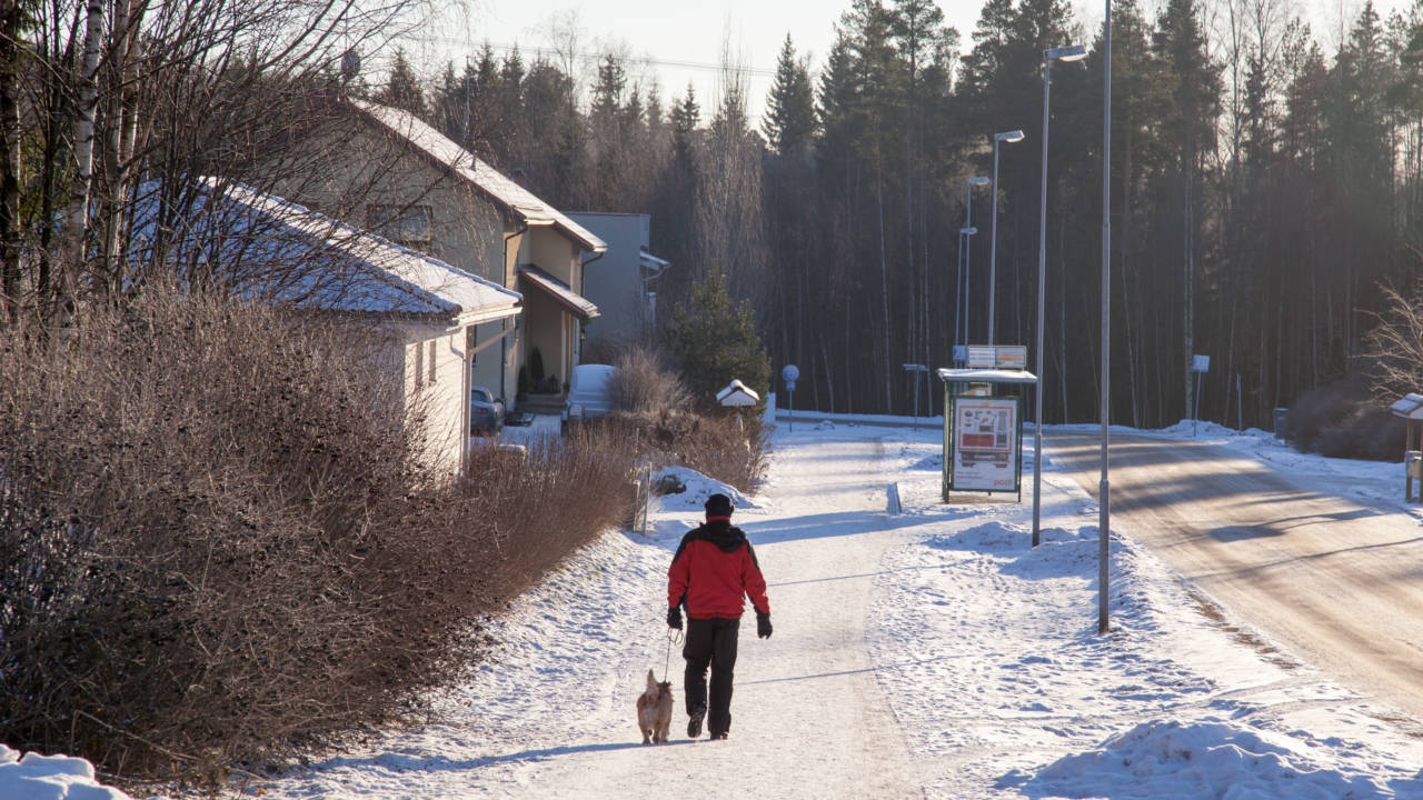 Mies ja koira kävelemässä omakotitaloalueella talvisena päivänä.