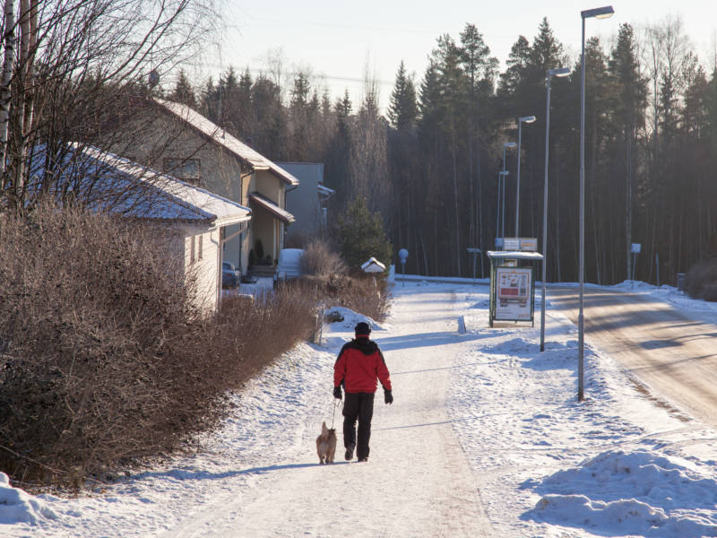 Mies ja koira kävelemässä omakotitaloalueella talvisena päivänä.