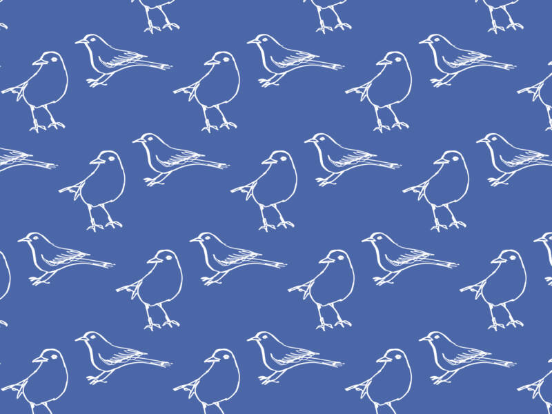 Sinisellä taustalla valkoisia, piirrettyjä lintuja.