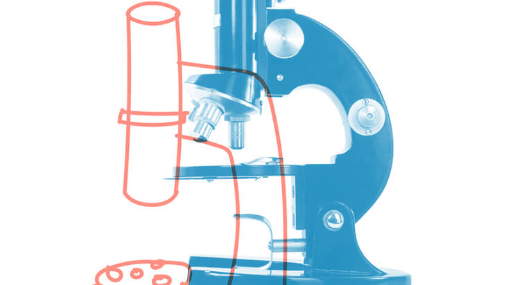 An illustration of a microscope.