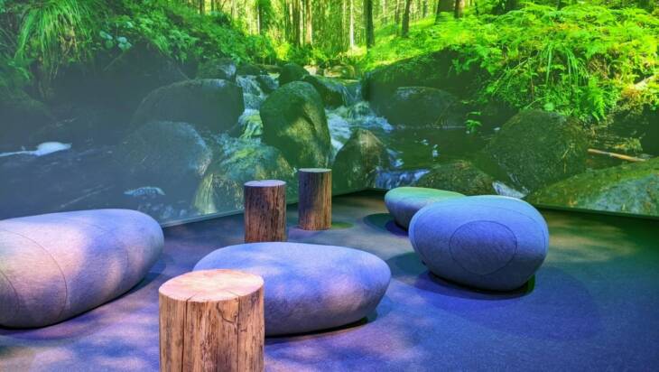 A room with artificial stones, wooden seats and forests projected on the walls.