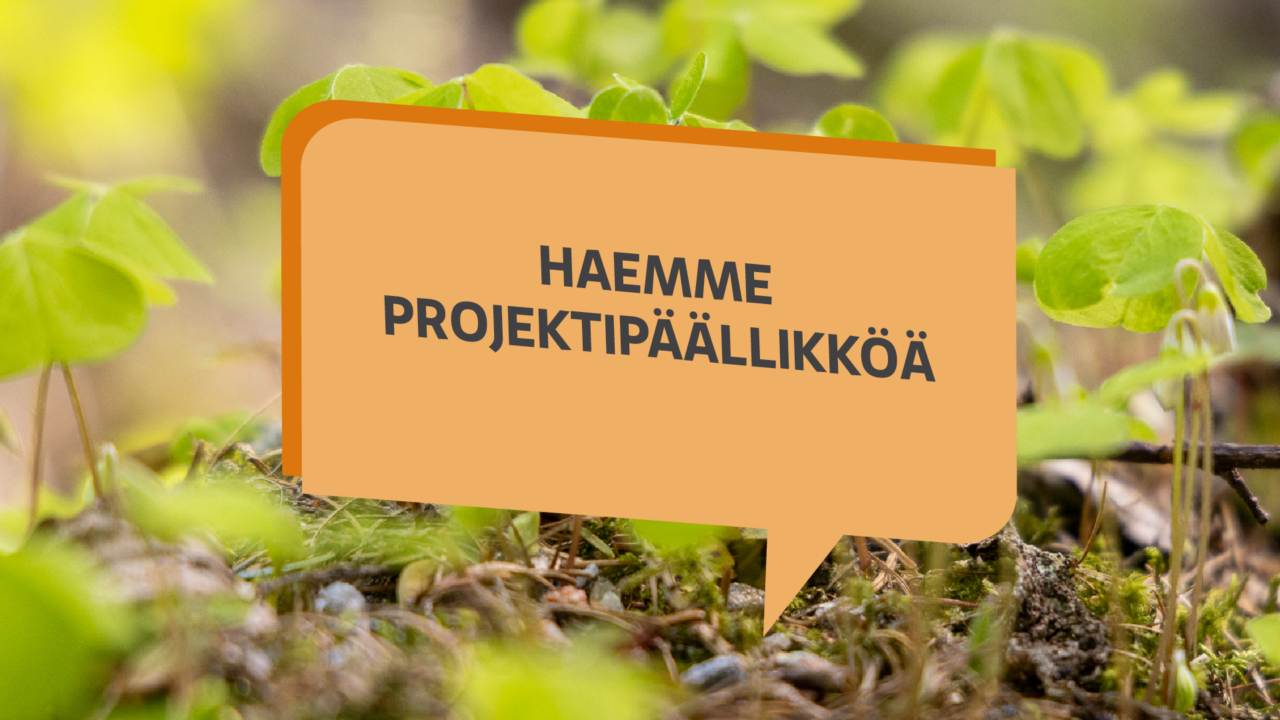 Haemme projektipäällikköä.